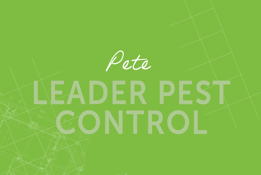 Peter – Leader Pest Control