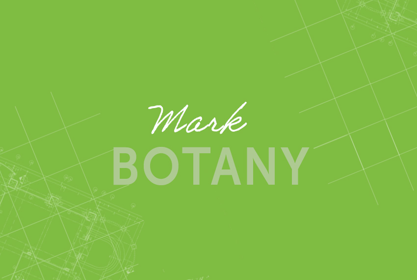 Mark – Botany